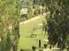 Kids playing Cricket in Aisha Park, Sheikhupura